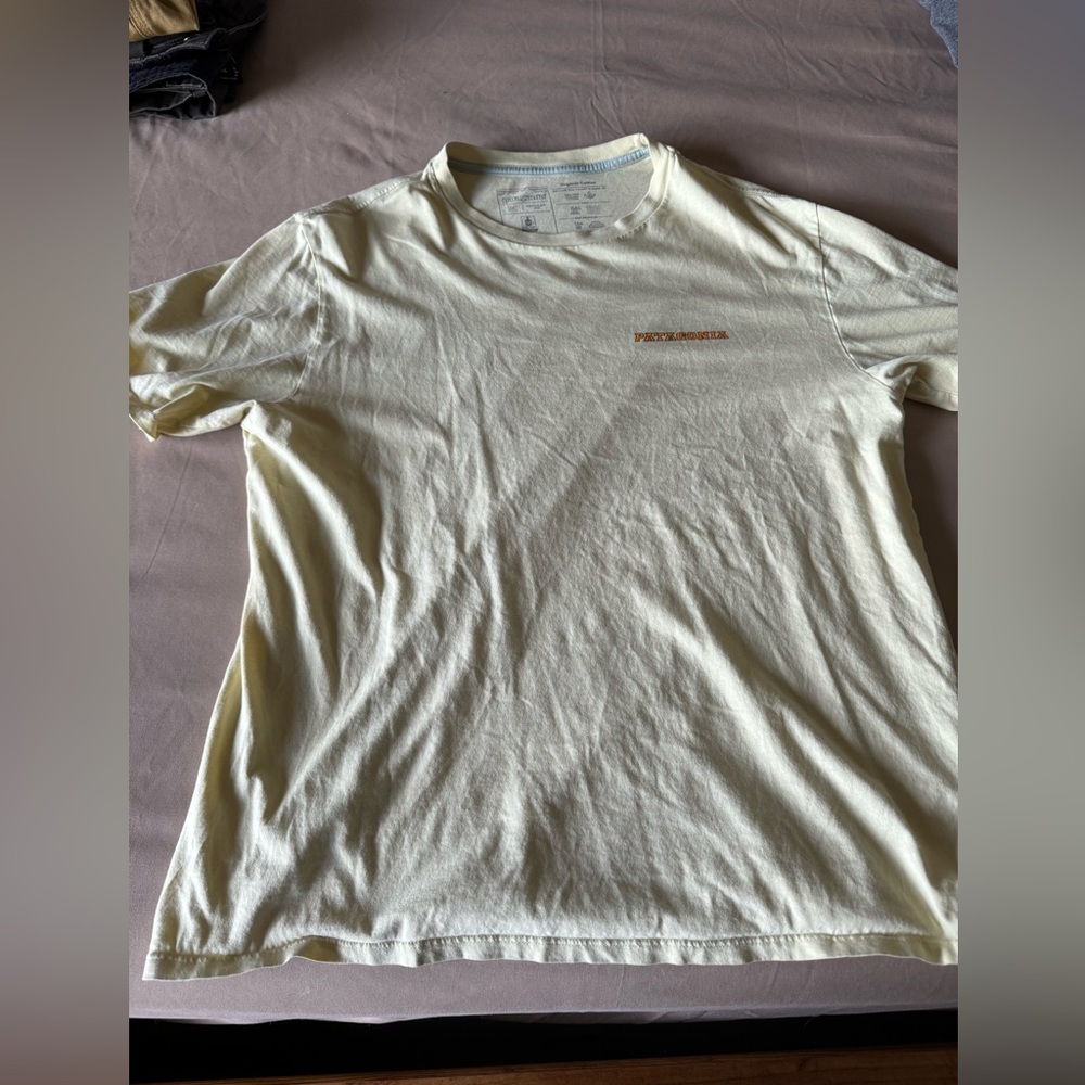 Patagonia Graphic T shirt
